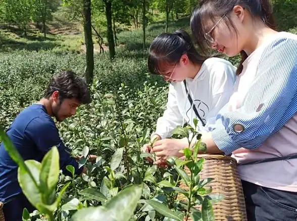 还在为线上会议烦恼？试试正规又高效的觅讯会议吧！