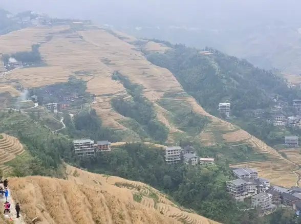 选机指南📱手机处理器天梯图解析：科学避坑，轻松看懂参数