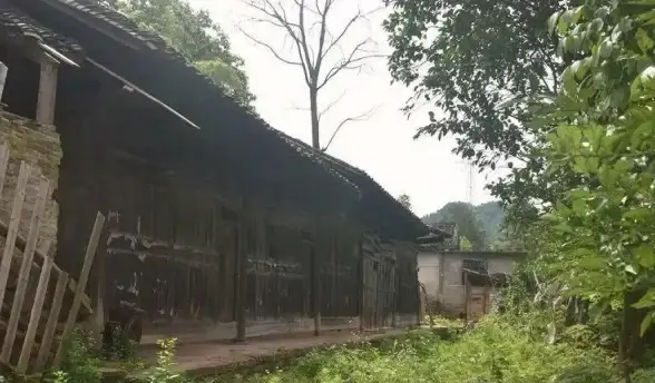 物品太多难管理？V5Item 助你高效整理，随时掌握每件物品的去向！