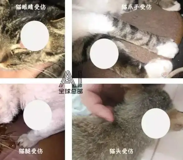 猫箱低版本究竟有多好用？一键开启与多元AI角色的实时对话！