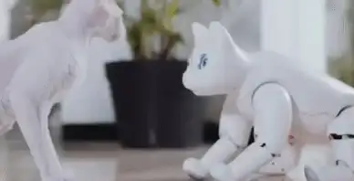 猫箱低版本究竟有多好用？一键开启与多元AI角色的实时对话！