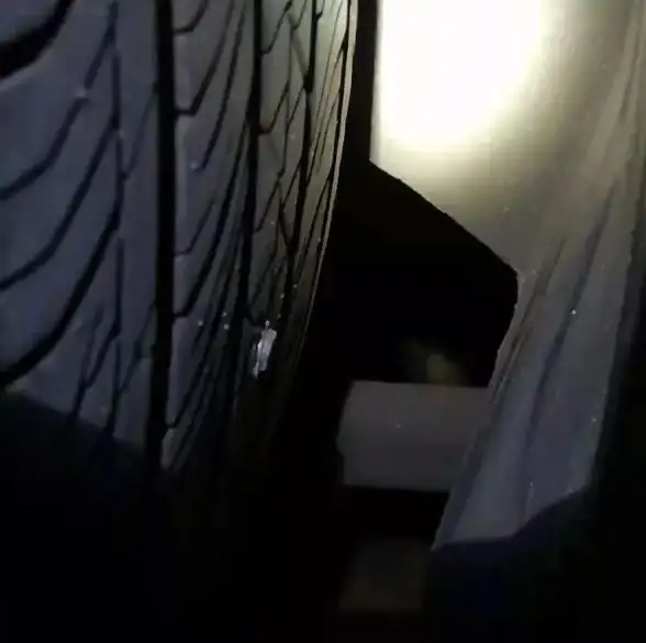 想要一款多功能资源搜索下载神器？北辰车库6.1不就是你的最佳选择吗？