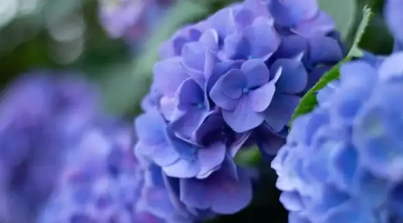 还在寻找有趣的人格测试和星座交流？测测APP一键开启你的社交新体验！