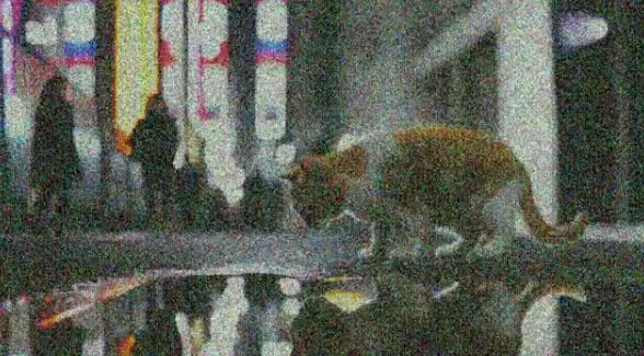 还在为搜索烦恼？微软必应浏览器支持语音搜索与ChatGPT，全球语言一网打尽！