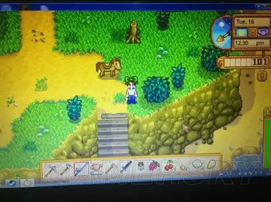 游戏攻略🎮星露谷物语终极全攻略详解指南