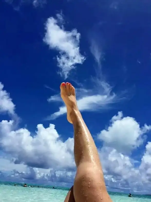 隐私保护🛡安全浏览器：守护个人信息，畅享无忧网络生活